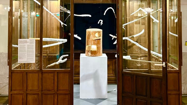 Installationsansicht 2025
                                          POKING SYSTEMS – Celebrating Synfluence