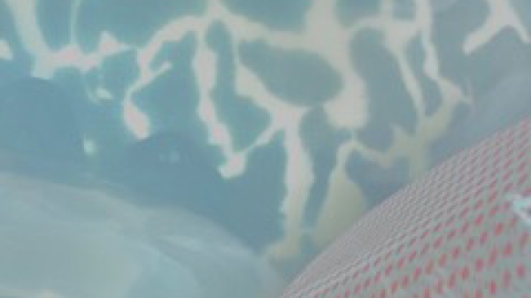 @Birgit F. & Elena Riener Ausstellungsbild @Birgit F. & Elena Riener