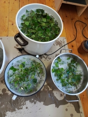 Boiling pot with leaves