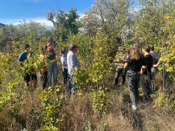Studierende im Wald