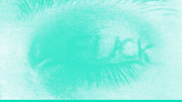 Ausstellungsplakat mit drei Buchstaben AIL und drei Augen