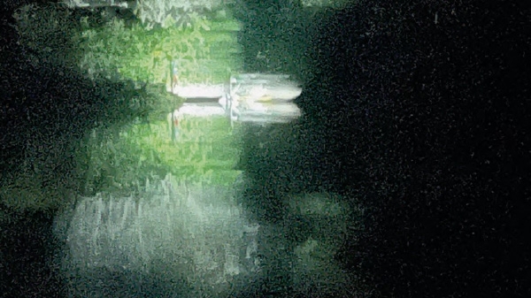 Artistic
                                          photograph of a lake in shades of green