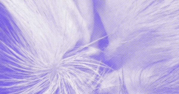 Veranstaltungsposter Grafik AIL The World in my Room, MUELLER-DIVJAK