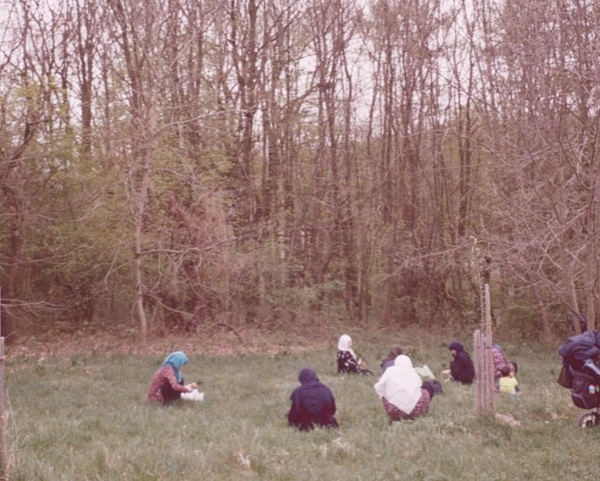 Mehrere Frauen knien vor einem Waldstueck in der Wiese und sammeln Kraeuter