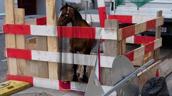 Baustelle mit einem Pferd.
